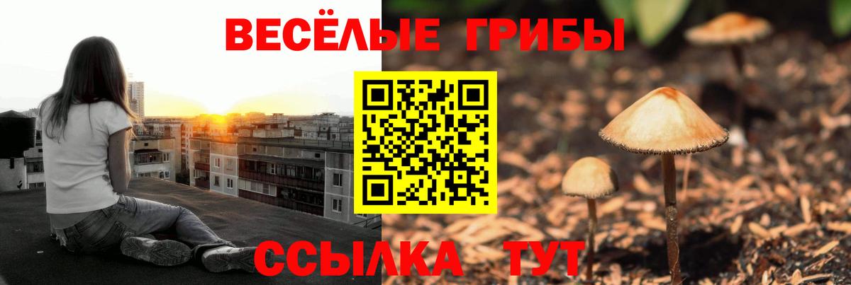 Псилоцибиновые грибы мухоморы  Галлюциногенные грибы MAGIC MUSHROOMS  Вход с VPN  Сердобск 